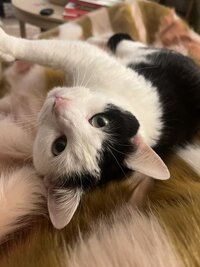 IMG_1271