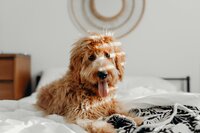 brooke-cagle-SNlFn1sJuEs-unsplash