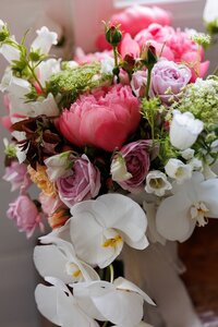 adelaide-wedding-photographer-golding-wines-gallery-2