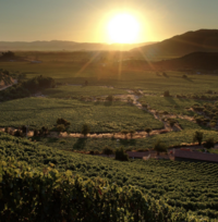 10-days-chile-luxury-food-and-wine-itinerary-4