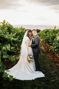 bride-groom-vineyard-wedding-portrait