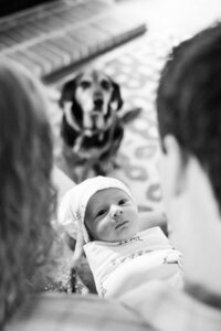 Portraits Lightly photography fort worth family baby senior-0012