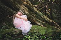 Young girl dressed as a princess reclines on a mossy forest log during a woodland signature fairy adventure session in O’Fallon, Illinois. (Photographed by Nature's Child Photography)