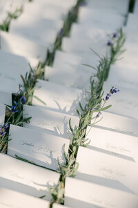 Claire+Patrick_WeddingPreviews_0059