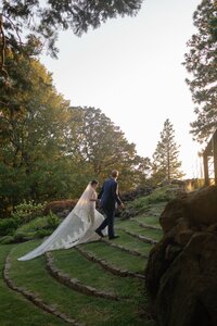 IMG_4248