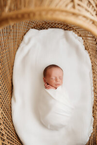 Charleston-Newborn-Photographer-1713