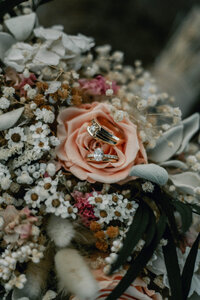 vbwedding-4