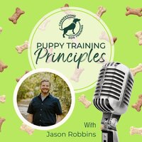 Podcast Cover for Puppy Training Principles