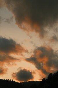 DSCF0100