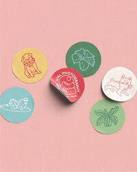 Purple and green branding for The Oberports