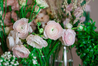 Soft pink loose flowers in a vase