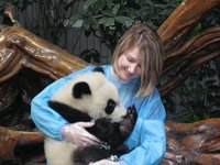 A teacher holds a baby panda