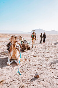 Group travel experience in the desert, ideal for adventure seekers and luxury group tours.