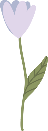 Florida Social Butterfly Green Leaf icon