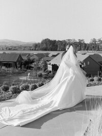Stanly Ranch Wedding Photographer-0046