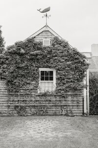 nantucket-engagement-photos_024