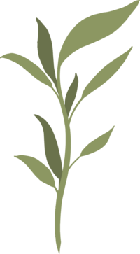 Florida Social Butterfly Green Vine Icon