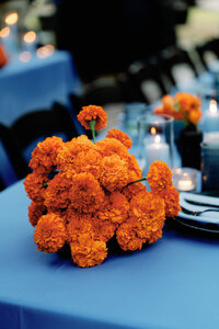 Addy&Chris-1367
