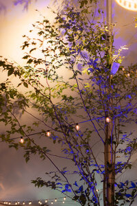 new-england-wedding-photographer-nyc-photographer-love-melissa-716_websize