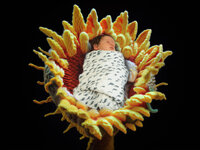 4Karma Studio - An editorial newborn portrait in Los Angeles featuring a sleeping baby styled with a handcrafted wool woven flower and premium organic textures.