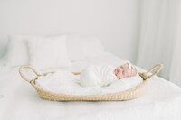 lakemohawkphotographer-reneeashphoto-25