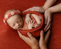 Newborn baby wrapped in red, supported safely by adult hands. Photographed by Inland Empire newborn photographer Kaitlyn Dawn Photography.