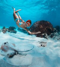 Traveler swims with stingrays and sea turtles, showcasing Virgin Voyages' exciting shore excursions.