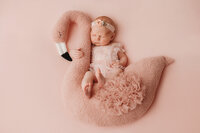 Infant posed for Newborn Portraits at Holy City Babies Portrait Studio in Charleston, SC.