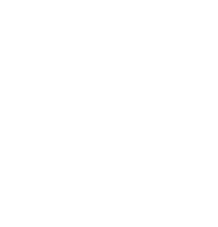 rise Official logo_White
