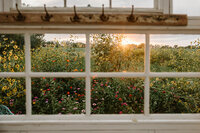 gravel-and-grace-glasshouse-window-sunflower-field-sunset.jpg