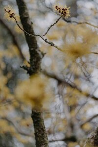 annie-spratt-m34YaCWuq7U-unsplash (1)