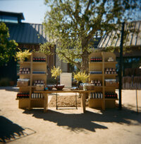 Ian_Spencer_Wedding-168