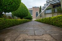 pexels-abenezer-36713682