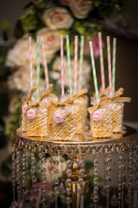 425TepeSuzPhotography_SWEET16_