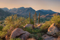 bigstock-Saguaro-Cactus-Grow-On-Pinnacl-251563729