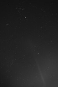 bj_wp-adv0101
