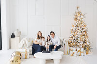 Toronto-Holiday-Mini-Sessions-1