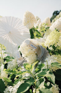 Pippin Hill Farms Wedding