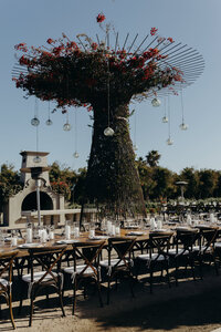 Todos-Santos-Wedding-16