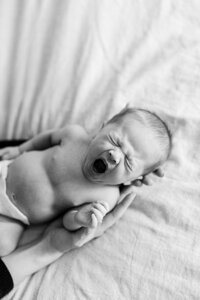 babicke-2277_websize