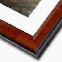 rich-mahogany-framed-pet-portrait