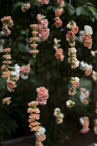 Mandarin Oriental Boston Wedding. Deborah Zoe Photography. Boston Wedding Photographer.