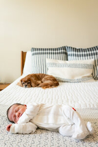 Lightly Photograph Fort Worth Portrait Family Newborn Baby Maternity CJ-00043