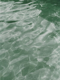 Elevae_23_0000004703-1 (1)