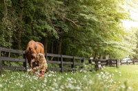 Oxford Michigan senior photographer Savvy Shoots
