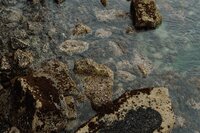 DSC01749