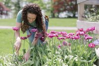 Lifestyle branding images showcasing Cherry Hill Flower Farm. A mix of portraits and candids to be used across social media and web presence. New Hampshire Branding Photographer for small businesses and creatives. Deborah Zoe Photography.