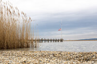 _4107697-neu