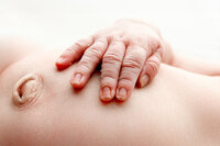 3Y1A4254