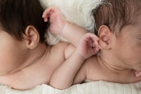 twin babies sleeping in Macomb County Newborn Photography MI